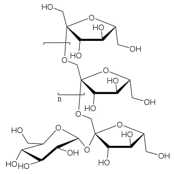 Simbiótico Plus Nenúfar 7 sobres de 4,8g - Herbetom Bioserum | Mezcla de fermentos lácticos | Lactobacillus rhamnosus | Prebiótico + Probiótico y aloe vera