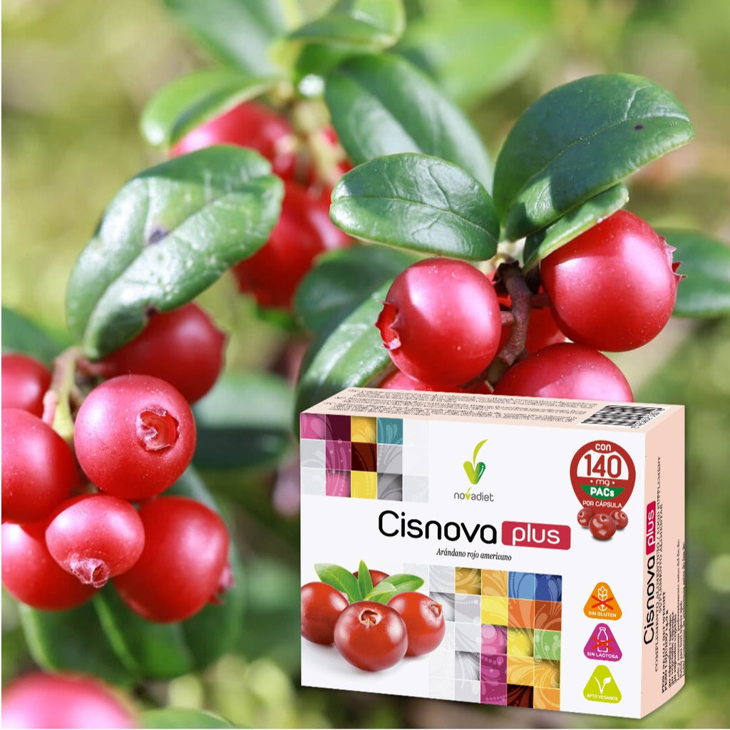 Novadiet CISNOVA PLUS 60 Cápsulas con Arandano Rojo Americano