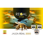 Novadiet Jalea Real 2000 Defensas 20 viales con  jalea real, equinácea, reishi, shiitake, maitake, vitaminas