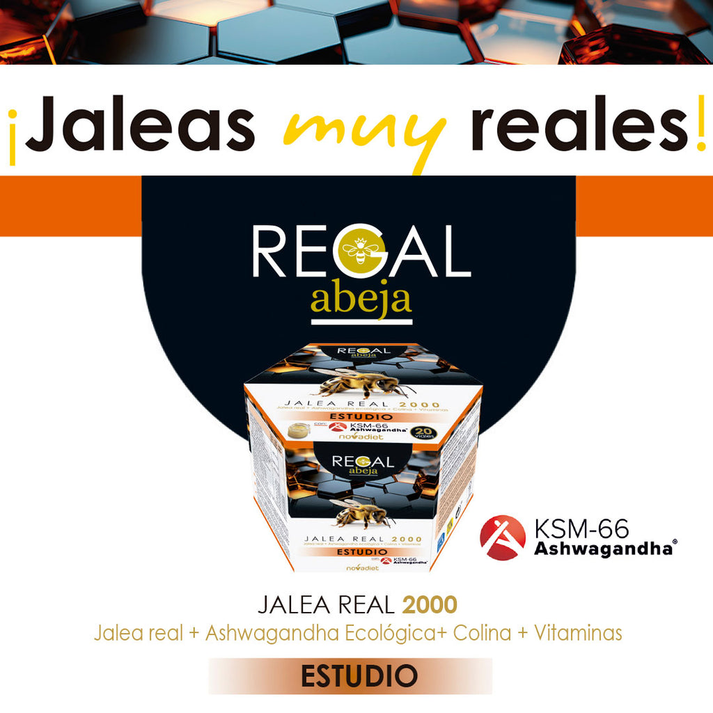 Novadiet Jalea Real 2000 Estudio 20 viales con  jalea real, Ashwagandha, Colina, vitaminas