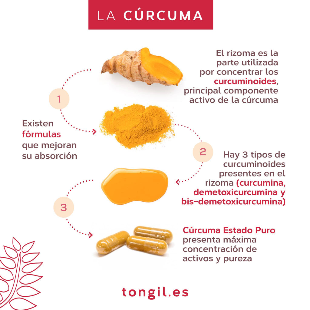 Tongil CÚRCUMA ESTADO PURO 10 000mg-80 Cápsulas