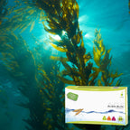 Novadiet ALGA SLIN 20 viales con Algas Laminarias, Fucus