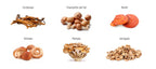 Novadiet NOVITAKE IMUNO 20 viales con Vitamina C, Cordyceps, Champiñón del Sol, Reishi, Shiitake, Maitake, Astrágalo